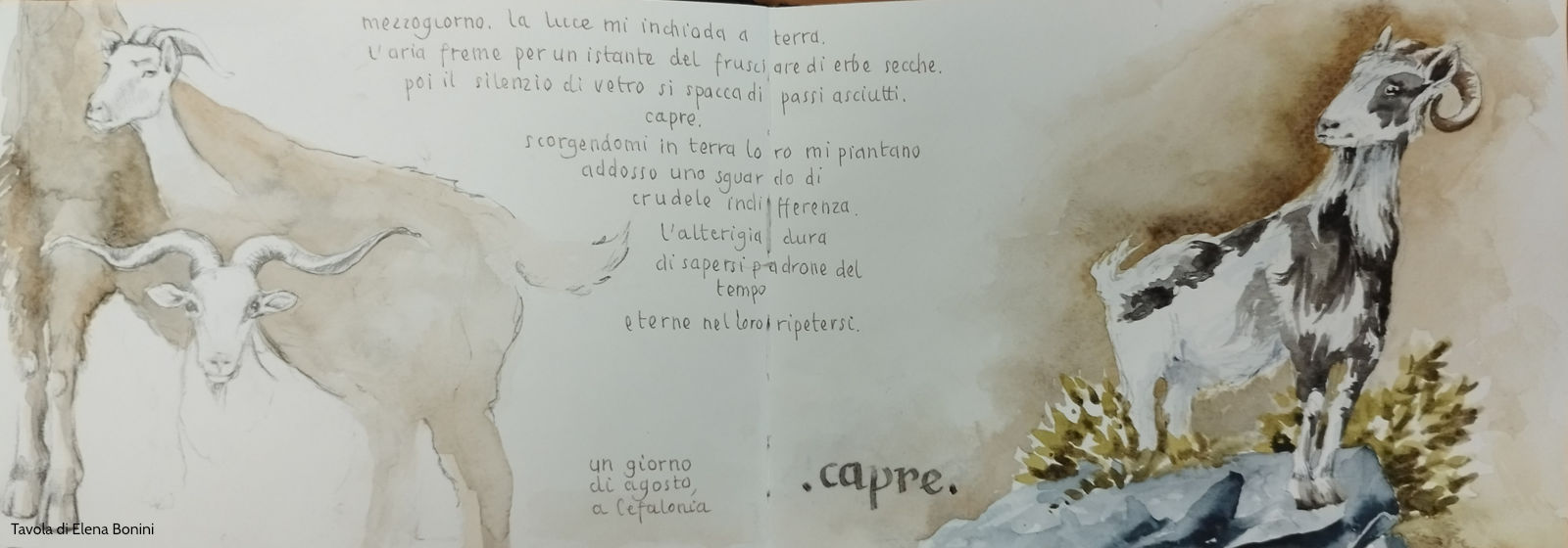 Carnet del viaggio a Cefalonia di Elena Bonini