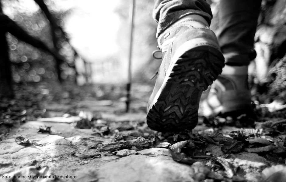 Laboratorio di scrittura per guide - Sabato 21 febbraio 2026