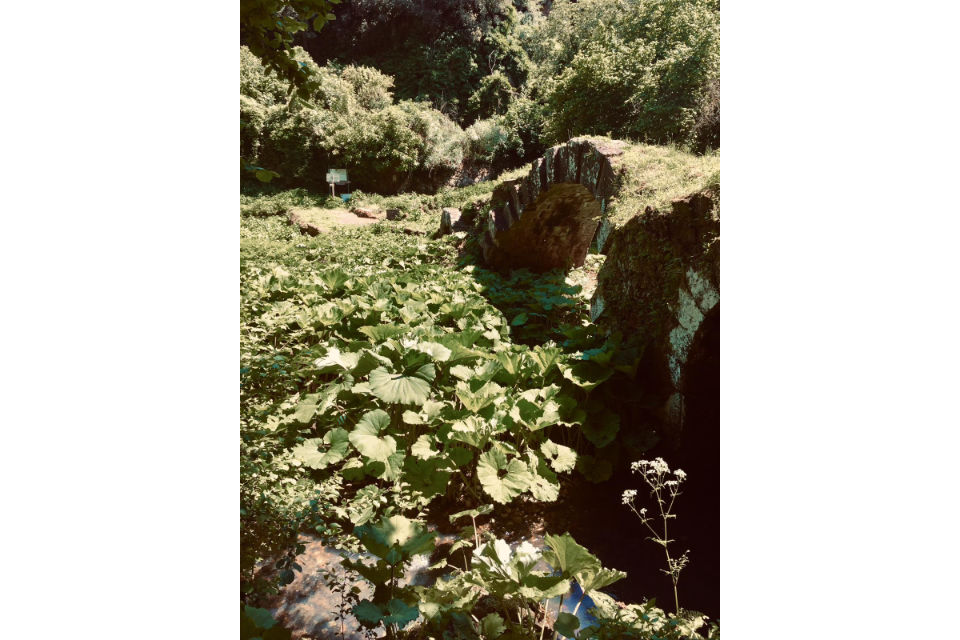 Laboratorio di scrittura di guide sentimentali