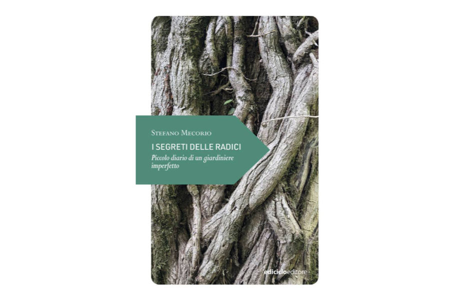 I segreti delle radici