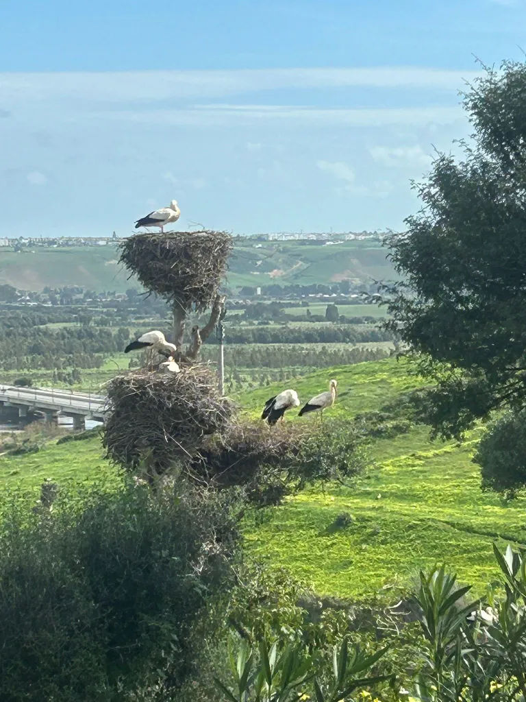 Battibecchi in famiglia