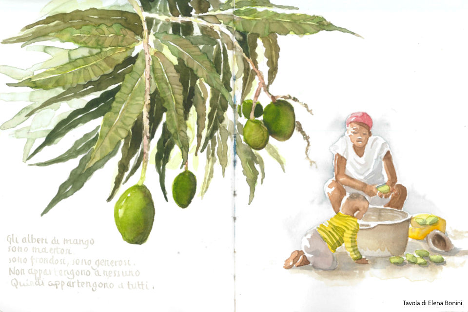 Tavola di Elena Bonini