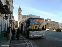 Levrieri italiani - Capestrano bus (foto di Paolo Merlini)